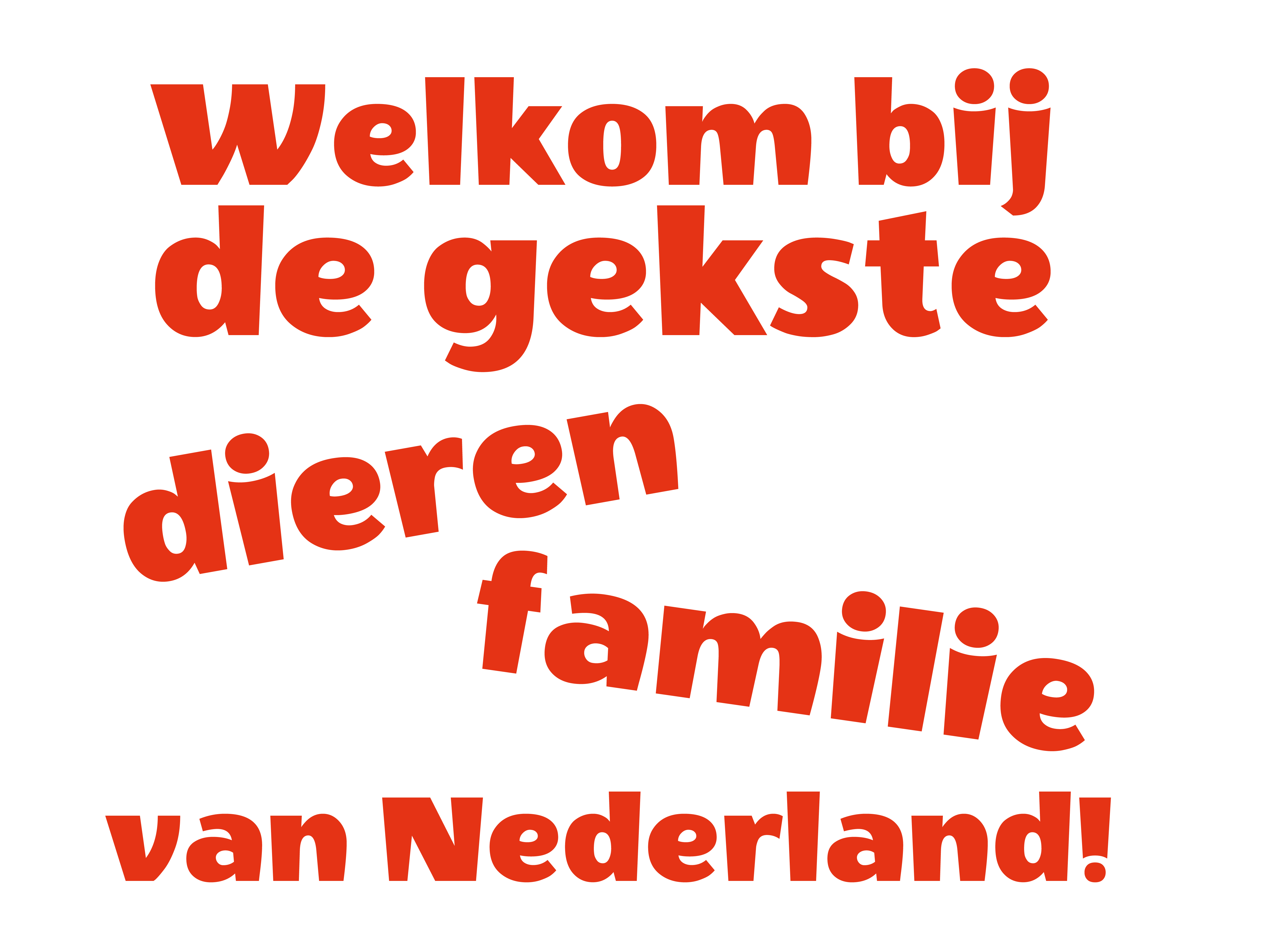 Welkom bij de gekste dierenfamilie van Nederland!